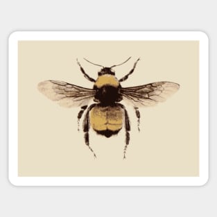 Bee! Sticker